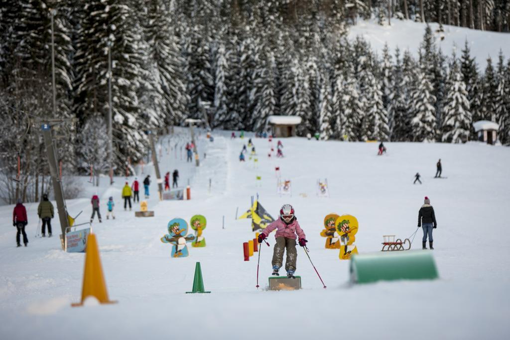 Dorf-Chalets Filzmoos Mit Sauna エクステリア 写真